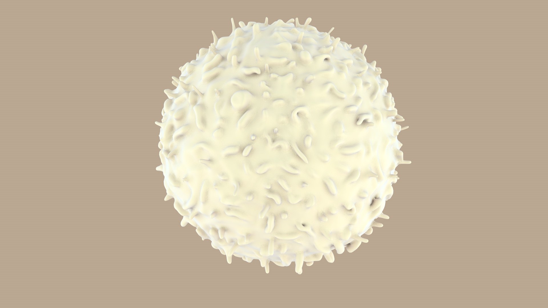 blood cells 3D model https://p.turbosquid.com/ts-thumb/QC/HzHQjL/lMzM38fd/lymphocytes_0000/jpg/1588237373/1920x1080/fit_q87/a13b84b1c5f2fdefe51de4da7bd24b9fa584eee9/lymphocytes_0000.jpg