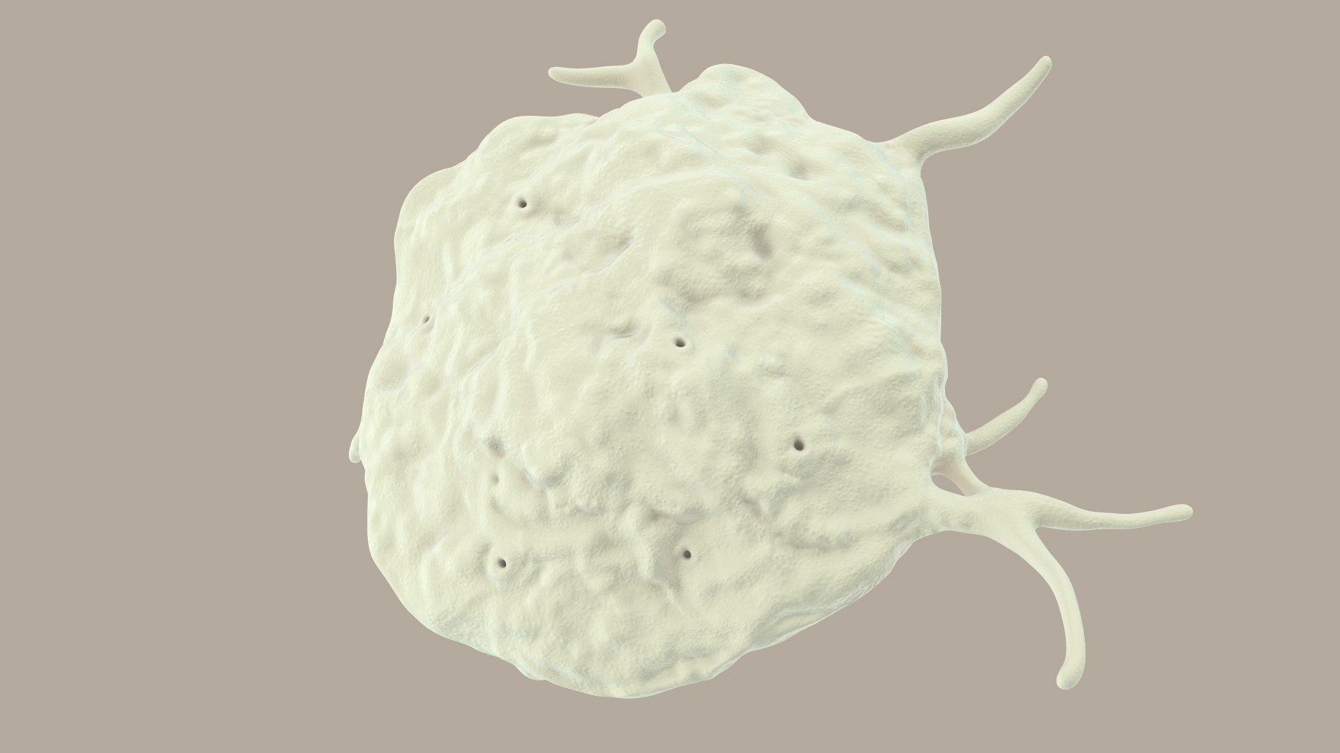 blood cells 3D model https://p.turbosquid.com/ts-thumb/QC/HzHQjL/q7mhOyKO/platelets_0019/jpg/1588238049/1920x1080/fit_q87/3c1b9cc5534b6fe413a784a24d482cebda32c904/platelets_0019.jpg