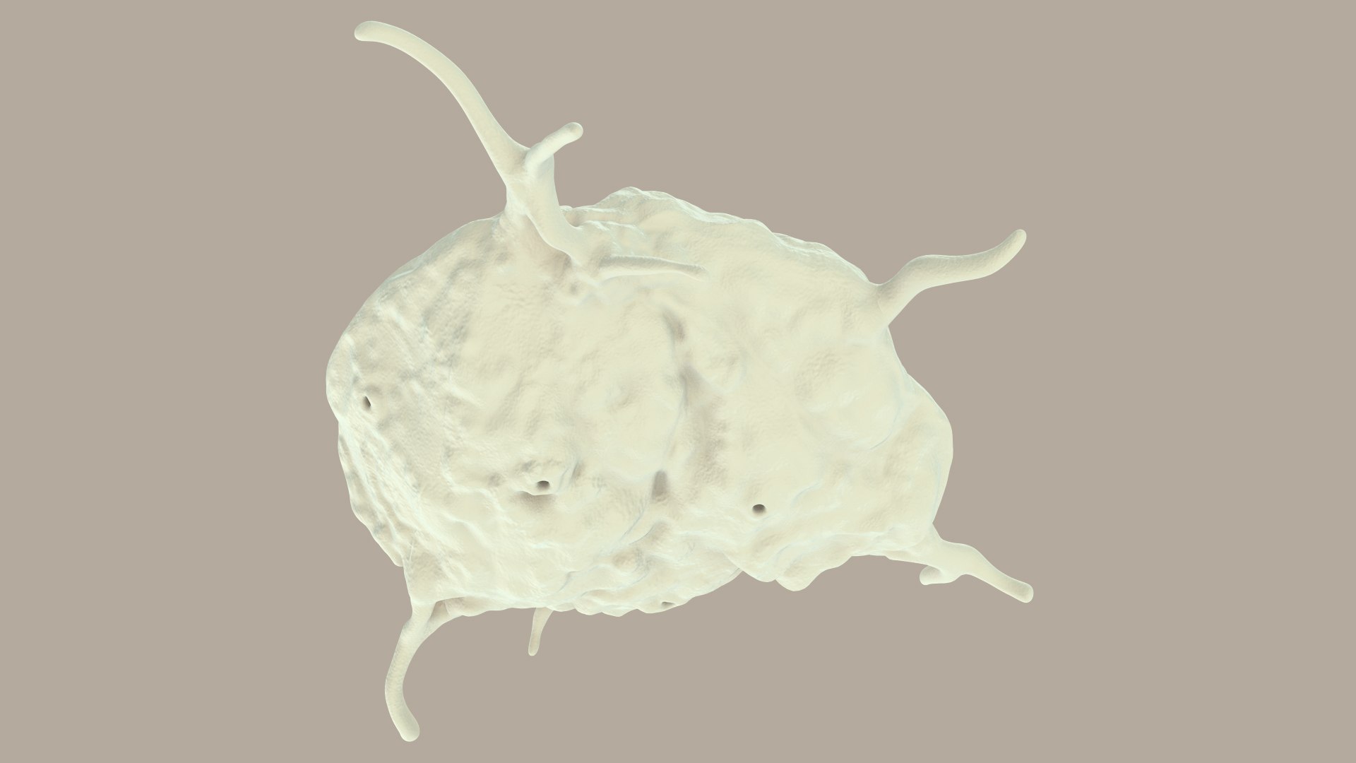 blood cells 3D model https://p.turbosquid.com/ts-thumb/QC/HzHQjL/rFpYriXo/platelets_0021/jpg/1588238049/1920x1080/fit_q87/2e50f357fff4cae1cb6a62eab3a390c20fb1ca15/platelets_0021.jpg