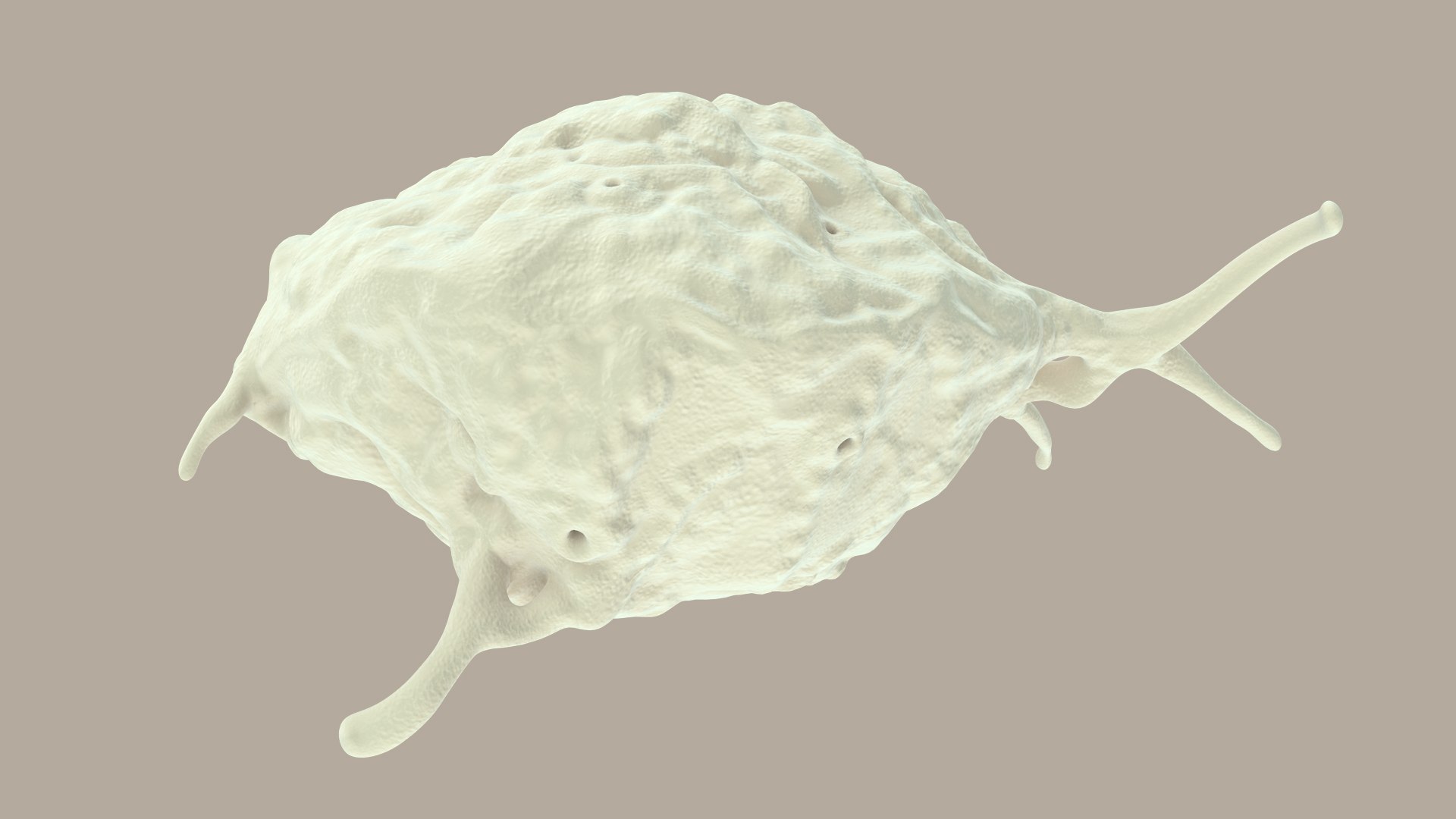 blood cells 3D model https://p.turbosquid.com/ts-thumb/QC/HzHQjL/rNEXWArD/platelets_0020/jpg/1588238049/1920x1080/fit_q87/3155025891cf3a2f4dec2594d1df08f132bcdbfd/platelets_0020.jpg