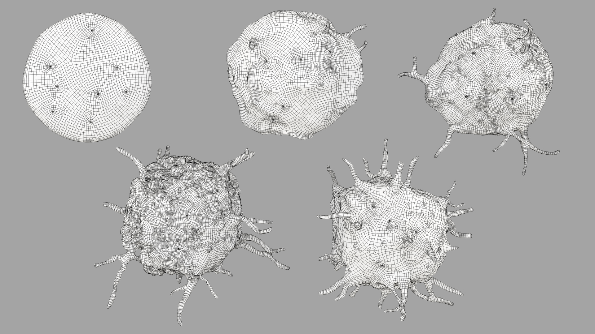 blood cells 3D model https://p.turbosquid.com/ts-thumb/QC/HzHQjL/sI7eExfD/platelets_outline/jpg/1588238057/1920x1080/turn_fit_q99/d459ecbbe548c52203bdcbd1b47864cebb539689/platelets_outline-1.jpg