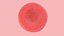 blood cells 3D model