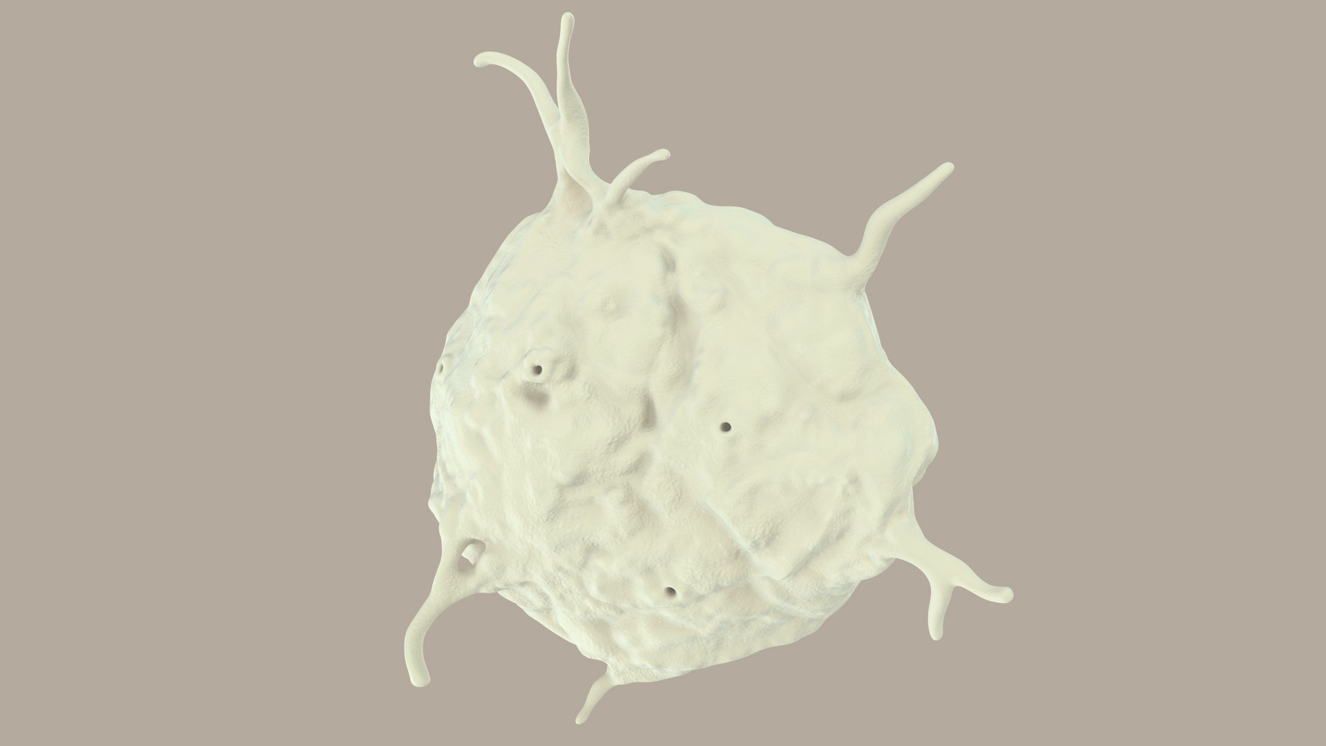 blood cells 3D model https://p.turbosquid.com/ts-thumb/QC/HzHQjL/xDRQh4E8/platelets_0022/jpg/1588238049/1920x1080/fit_q87/e135d011398f1bca50a9f1307e5914e4bc39bbd0/platelets_0022.jpg