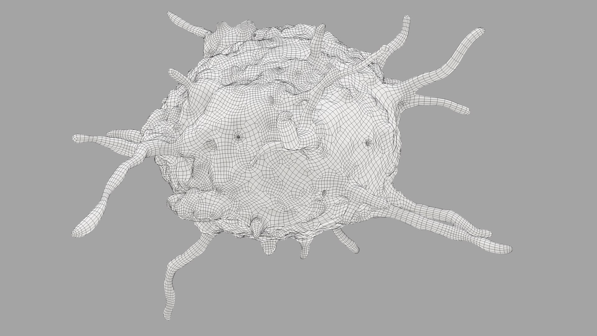 blood cells 3D model https://p.turbosquid.com/ts-thumb/QC/HzHQjL/yJYIhIti/platelets_outline_0032/jpg/1588238864/1920x1080/fit_q87/f29498de96f134f3d2f0ce4f6c1df068c5e0f114/platelets_outline_0032.jpg