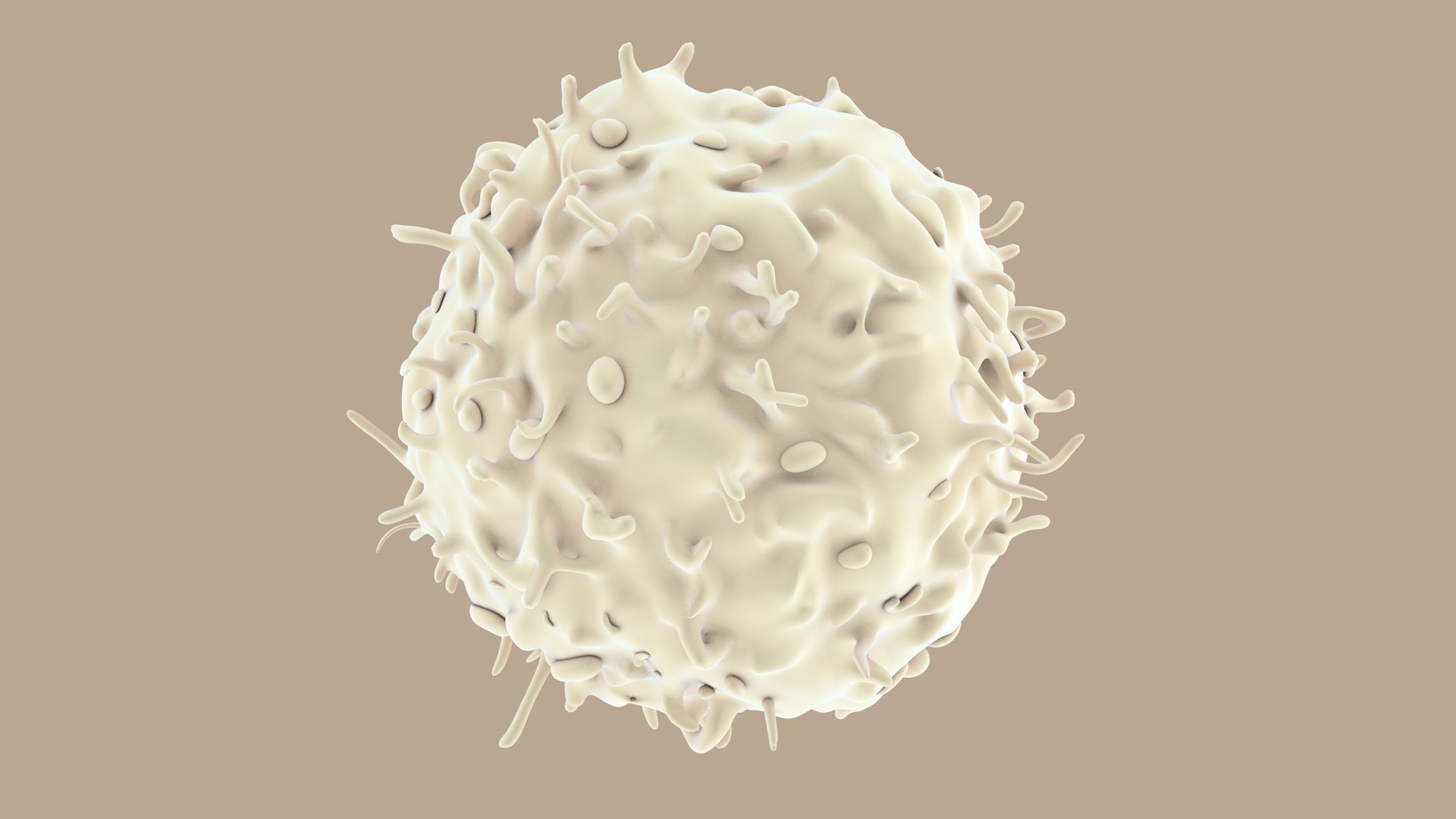 blood cells 3D model https://p.turbosquid.com/ts-thumb/QC/HzHQjL/yTuRnfqq/lymphocytes_0006/jpg/1588237373/1920x1080/fit_q87/2ee65fc502da509ff3df86743e7456df9ed5c7f8/lymphocytes_0006.jpg
