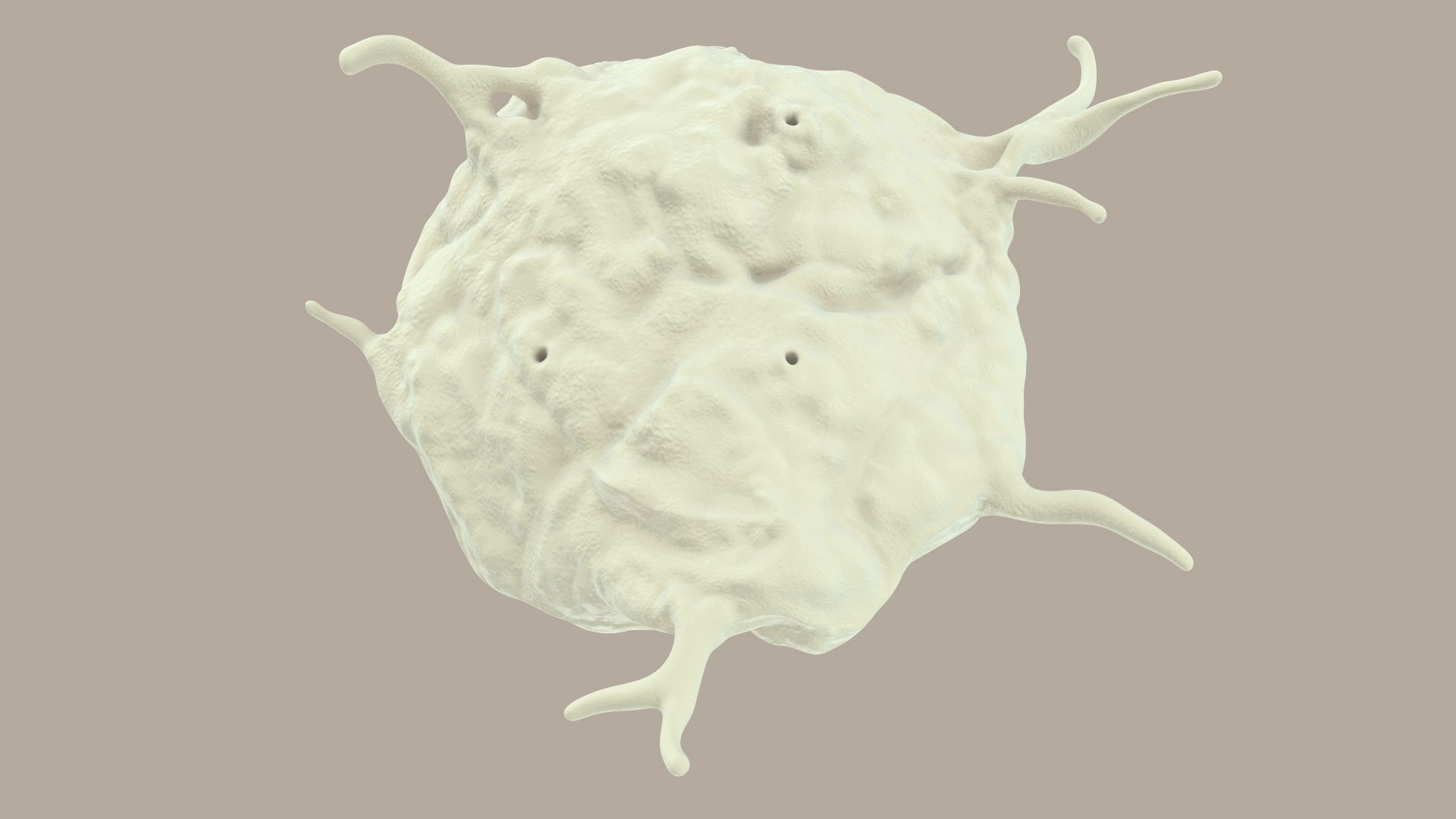 blood cells 3D model https://p.turbosquid.com/ts-thumb/QC/HzHQjL/yeEa9Xs2/platelets_0018/jpg/1588238049/1920x1080/fit_q87/f76d741a8c0b5442d6cb84fa78f558d1ed5e6048/platelets_0018.jpg