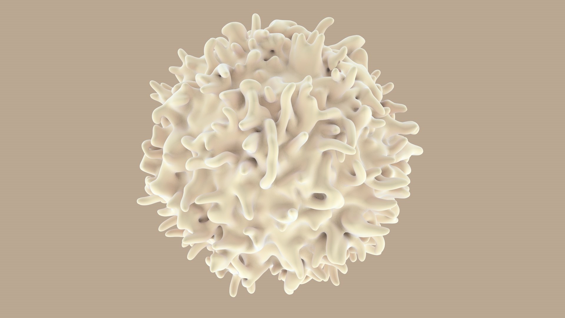 blood cells 3D model https://p.turbosquid.com/ts-thumb/QC/HzHQjL/zSVWHAHS/lymphocytes_0014/jpg/1588237373/1920x1080/fit_q87/9affd99c4df6543a058a9c3c8f4feabafc550a24/lymphocytes_0014.jpg