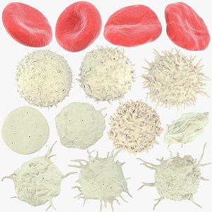 Blood Cells Set