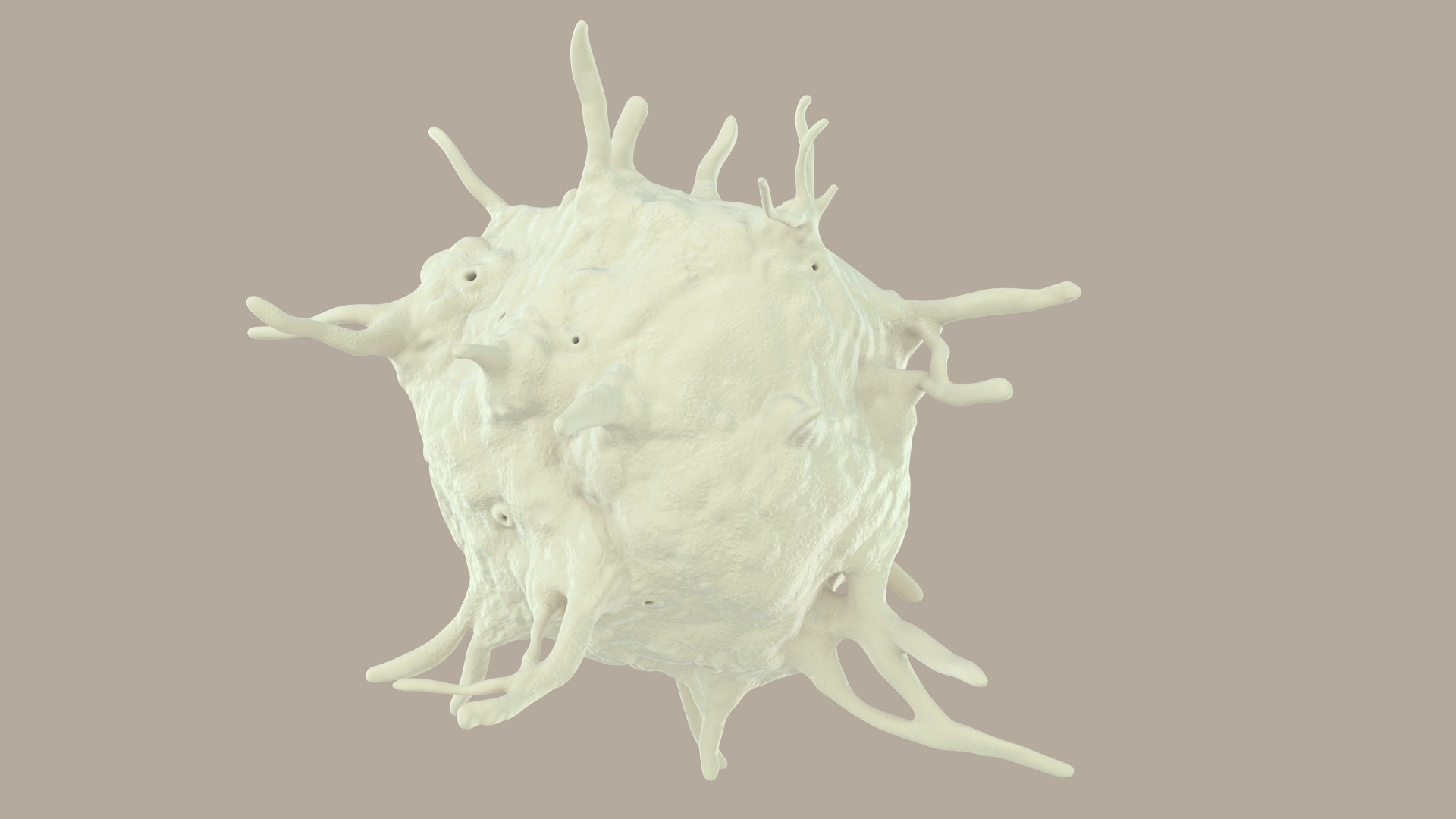 blood cells 3D model https://p.turbosquid.com/ts-thumb/QC/HzHQjL/zkPKYFu4/platelets_0026/jpg/1588238049/1920x1080/fit_q87/9efde966e9efee26f230dba1283f4ad7a052ce12/platelets_0026.jpg