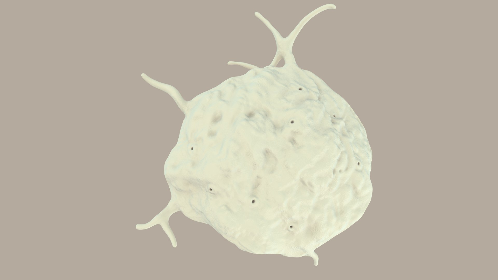blood cells 3D model https://p.turbosquid.com/ts-thumb/QC/HzHQjL/zu9OUgrn/platelets_0017/jpg/1588238049/1920x1080/fit_q87/1612fac0925a83def403fab0b838c62e0ae09c51/platelets_0017.jpg