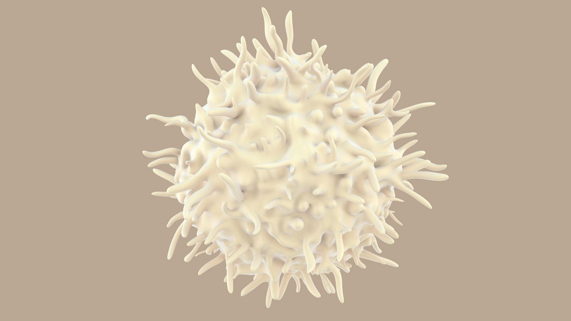 blood cells 3D model https://p.turbosquid.com/ts-thumb/QC/HzHQjL/zyfqFoPX/lymphocytes_0011/jpg/1588237373/1920x1080/fit_q87/bdc3a70fa0958946037a374b1d54ea14270b2694/lymphocytes_0011.jpg