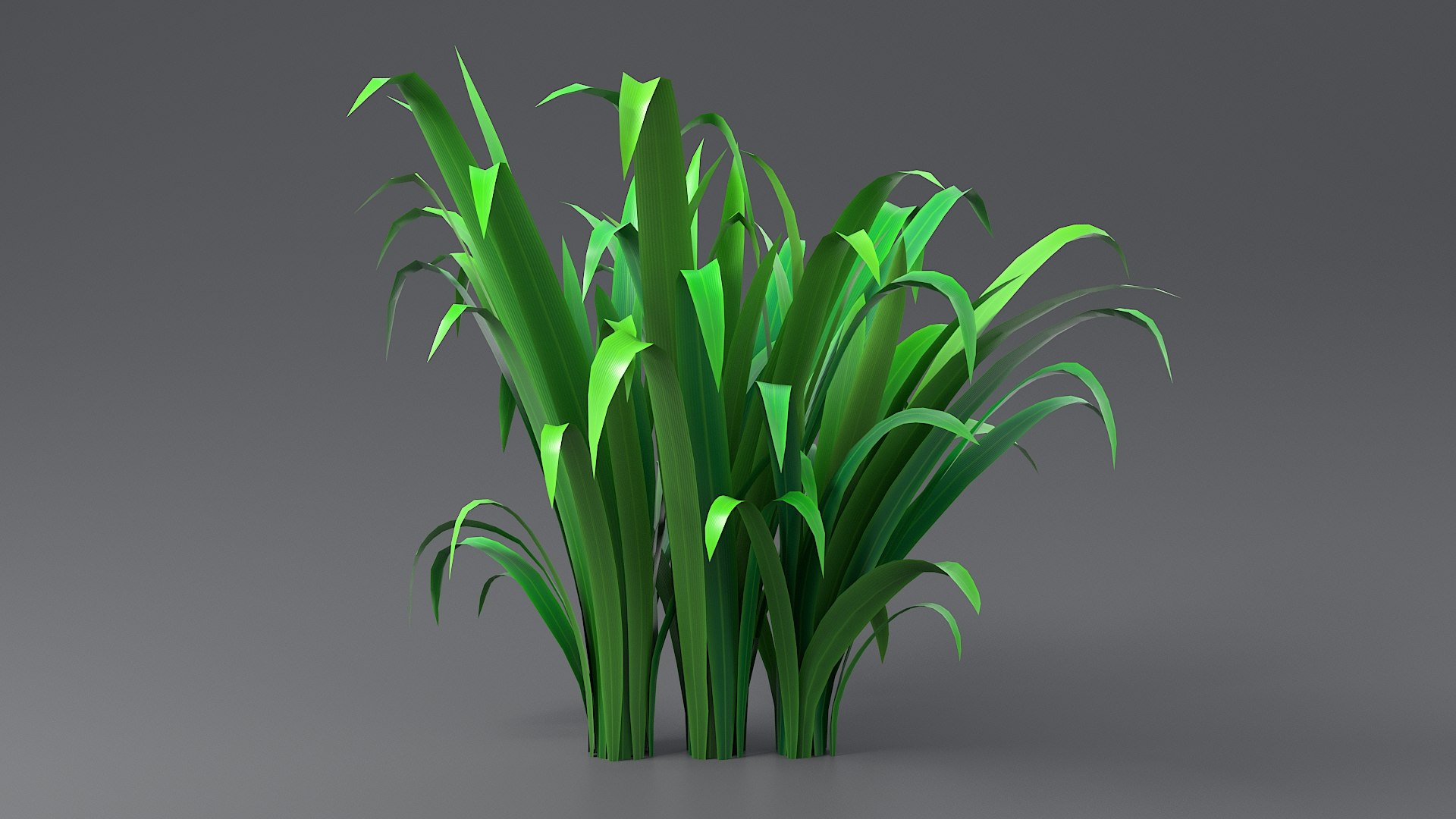 Cartoon Grass Bundle 3D https://p.turbosquid.com/ts-thumb/QC/PRAYgE/2m/grass_long_0057/jpg/1775900116/1920x1080/fit_q87/fd92ec971a8392d595d8bbc1f473d14569da90e2/grass_long_0057.jpg