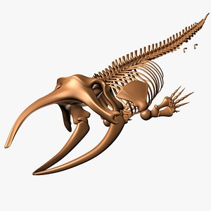 skeleton greenland whale animal skull 3d model