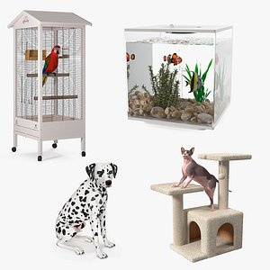 Pets Collection 3