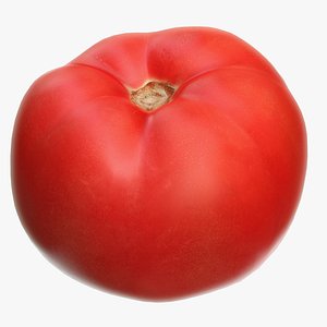Tomato PBR Metallness 3D Scaned