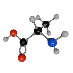 Alanine Molecule Model