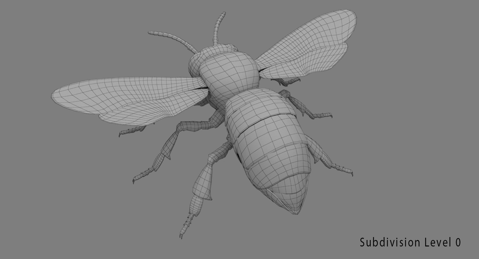 Honey Bee 3D Model - TurboSquid 1273892