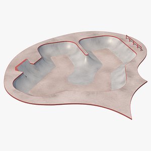 Skatepark Concrete Pool