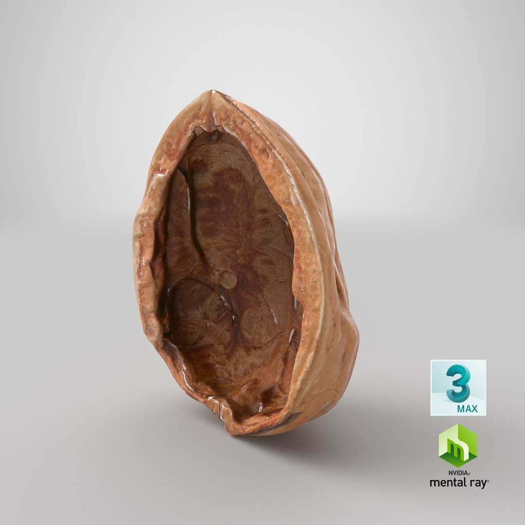 Empty Walnut Shell 3D model https://p.turbosquid.com/ts-thumb/QD/OBp3Cz/Vs/stemcell_max_mental_ray_render/png/1668844118/1920x1080/fit_q87/59fc3b724e29ddaa6236ea994ca7b6a0c10adccd/stemcell_max_mental_ray_render.jpg