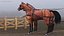 Pair of Breast Collar Harness