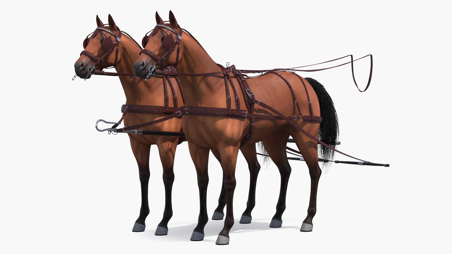 Pair of Breast Collar Harness 3D model preview