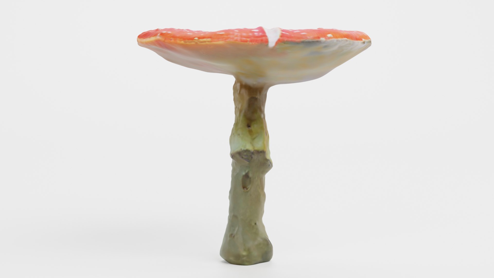 3D Amanita Muscaria - 02 https://p.turbosquid.com/ts-thumb/QD/Yh54W0/MT/amanita02c/png/1728907748/1920x1080/fit_q87/074044571c4a83adc9c2fe91475cf913a74d62ce/amanita02c.jpg