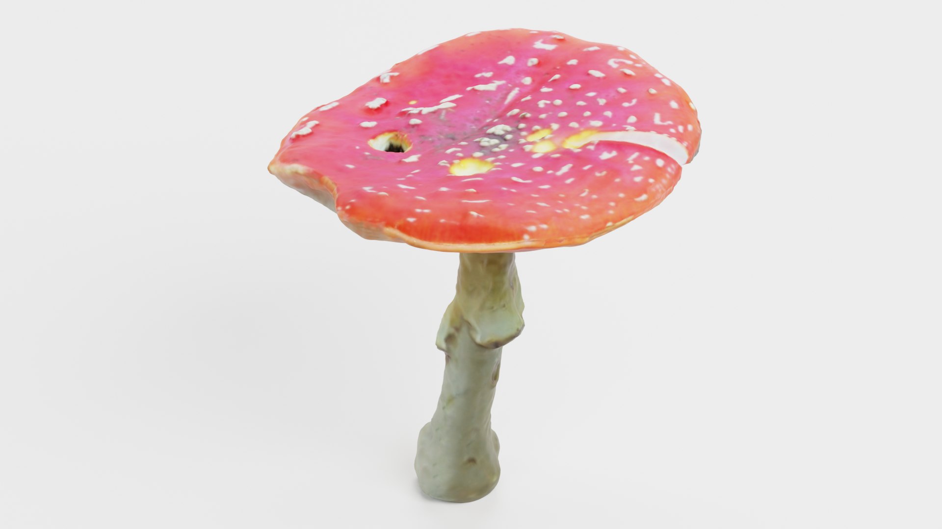 3D Amanita Muscaria - 02 https://p.turbosquid.com/ts-thumb/QD/Yh54W0/hz/amanita02e/png/1728907746/1920x1080/fit_q87/42ef7a4279d0ff2674b342a2ef65ef6e5ebe122a/amanita02e.jpg