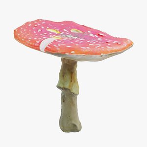 3D Amanita Muscaria - 02
