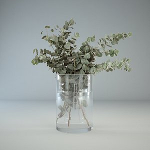 eucalyptus glass vase 3d model