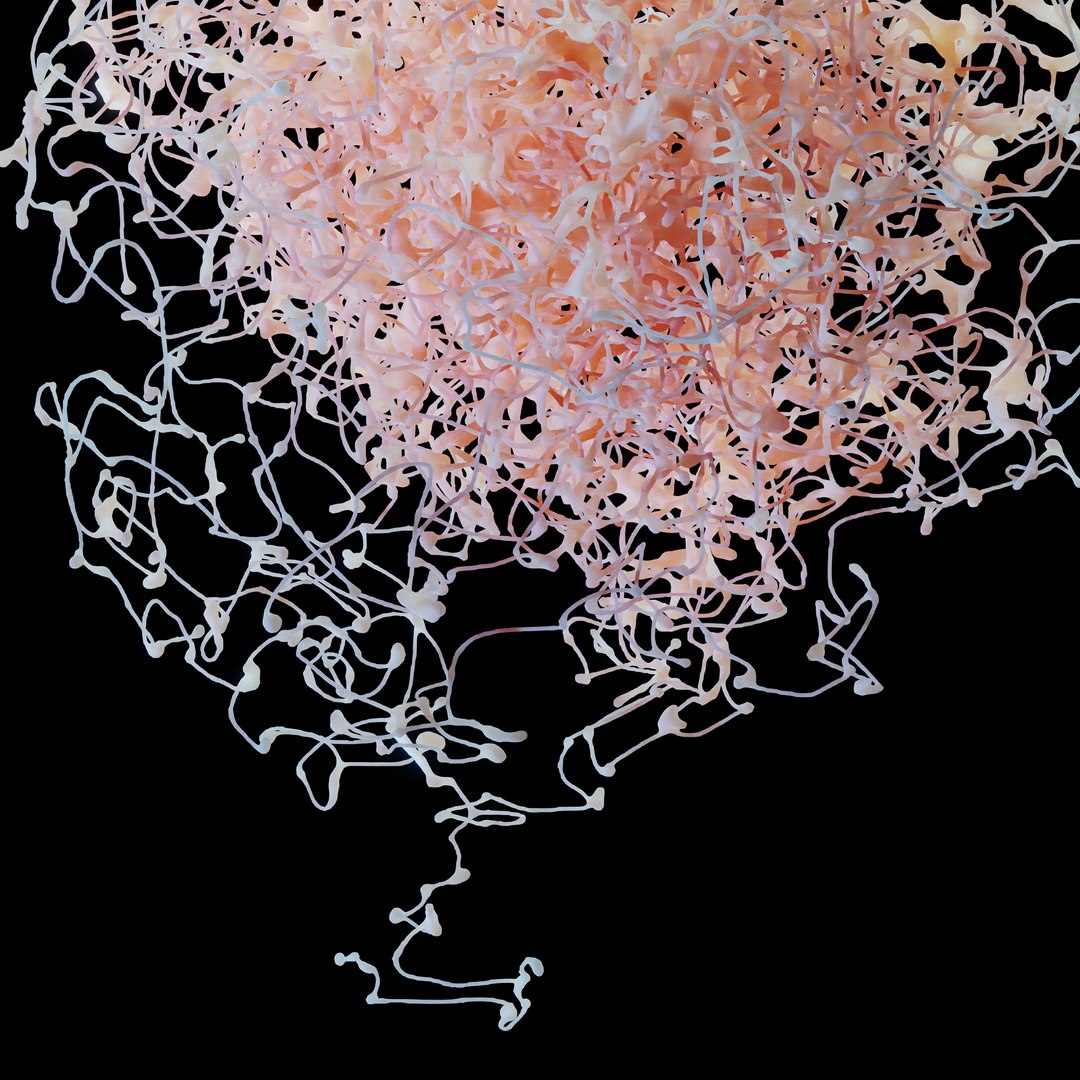 Neuron Rosehip 3D Model - TurboSquid 1672773
