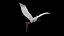 TUIUIU FLIGHT