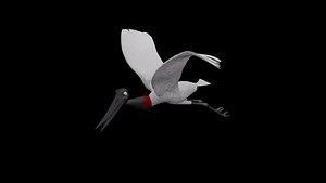 TUIUIU FLIGHT
