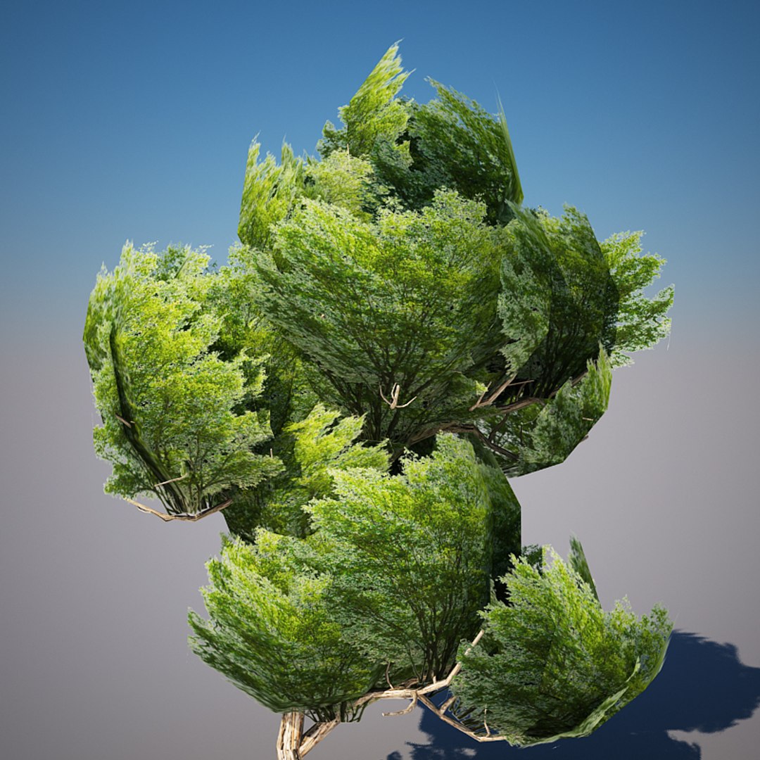 3d model tree materials