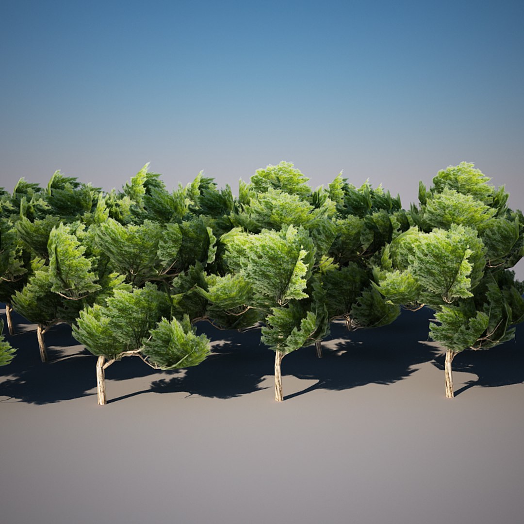3d model tree materials