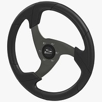Steering Wheel Schmitt