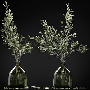 3D olive stems glass vase model