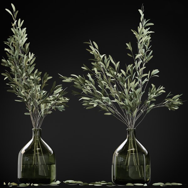 水とガラスの花瓶にオリーブの茎3dモデル Turbosquid