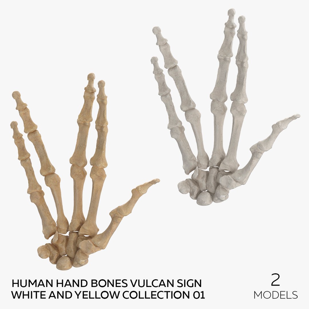 3D Human Hand Bones Vulcan Sign White and Yellow Collection 01 - 2 models model https://p.turbosquid.com/ts-thumb/QE/LJfd6n/en/square/jpg/1654763813/1920x1080/fit_q87/292b80df419511f5718a65a6497f7d8cc72a98e7/square.jpg