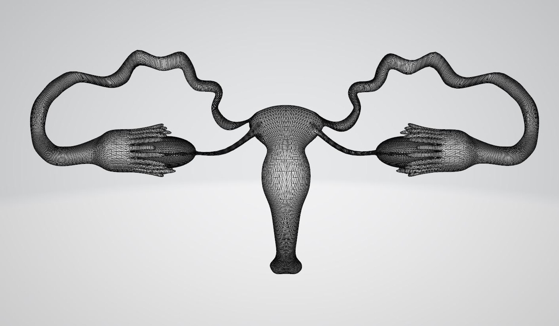 3D vigina - TurboSquid 1993692