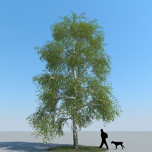 birch tree 3d max
