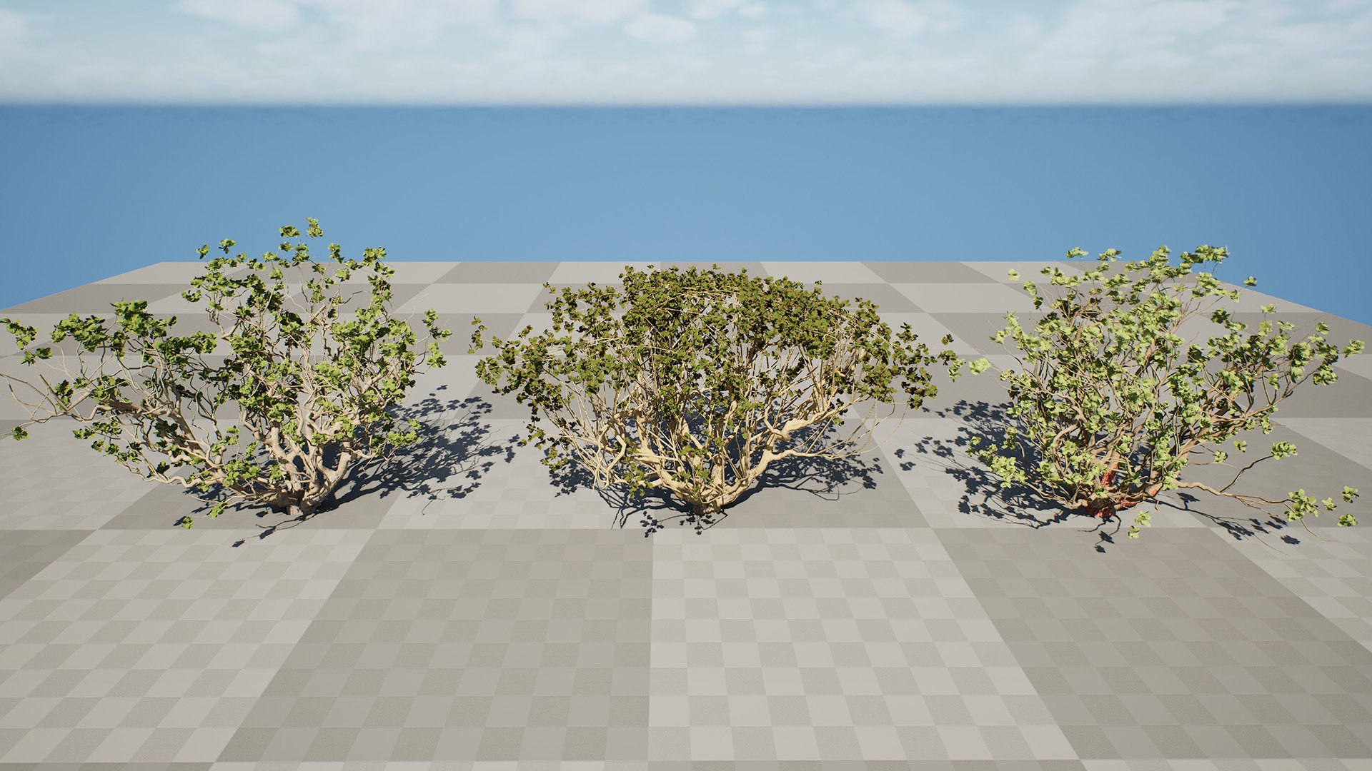 Arabian Frankincense Tree 3D Model 3D model https://p.turbosquid.com/ts-thumb/QE/ifDs0S/de/highresscreenshot00001/jpg/1761840283/1920x1080/fit_q87/0ada8e9379a1b8ad2b464473b97b28042ac89a48/highresscreenshot00001.jpg