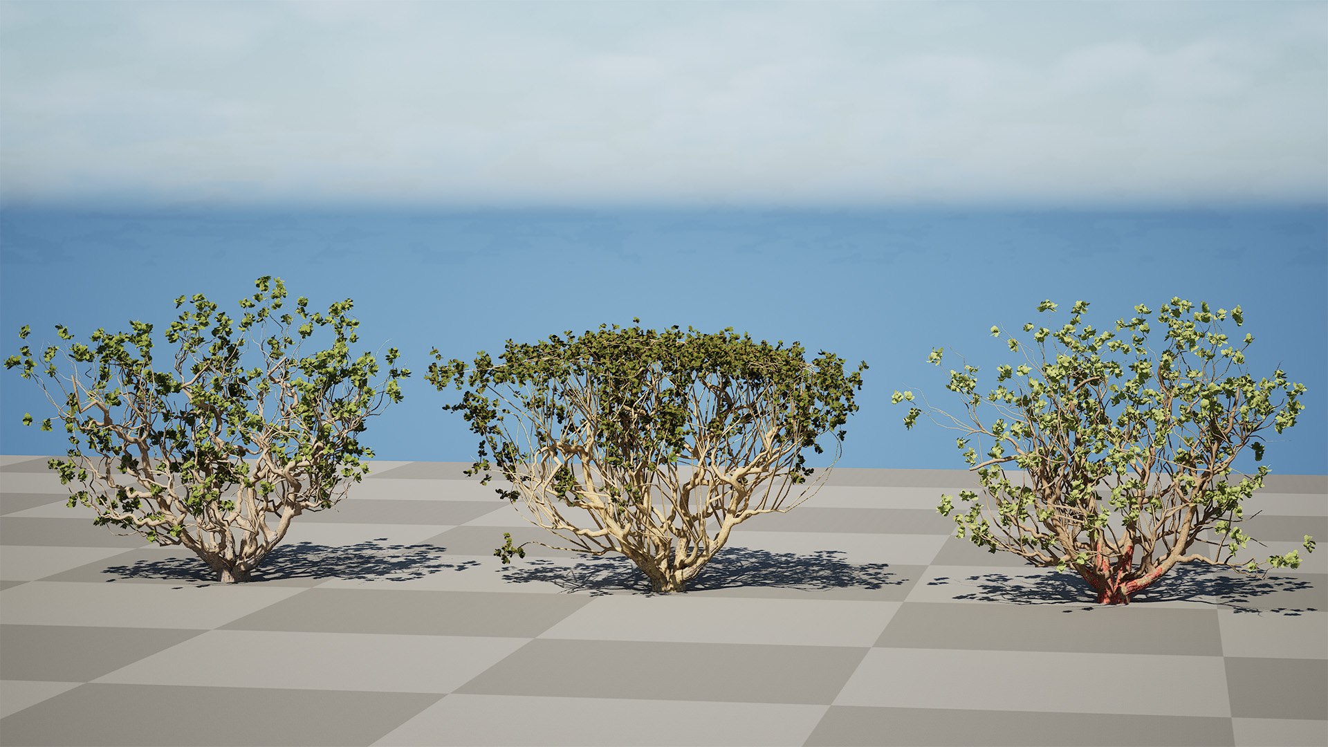 Arabian Frankincense Tree 3D Model 3D model https://p.turbosquid.com/ts-thumb/QE/ifDs0S/jE/highresscreenshot00000/jpg/1761840281/1920x1080/fit_q87/e0000568b680a5124e3a4b77fd3fdeccbee85361/highresscreenshot00000.jpg