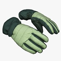 Clothes 304 Wintergloves