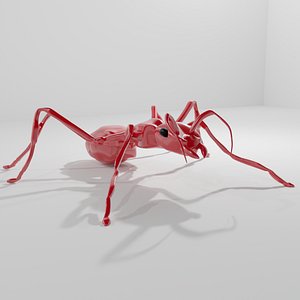 3D ant ruby