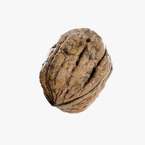 Walnut Closed Outter Shel