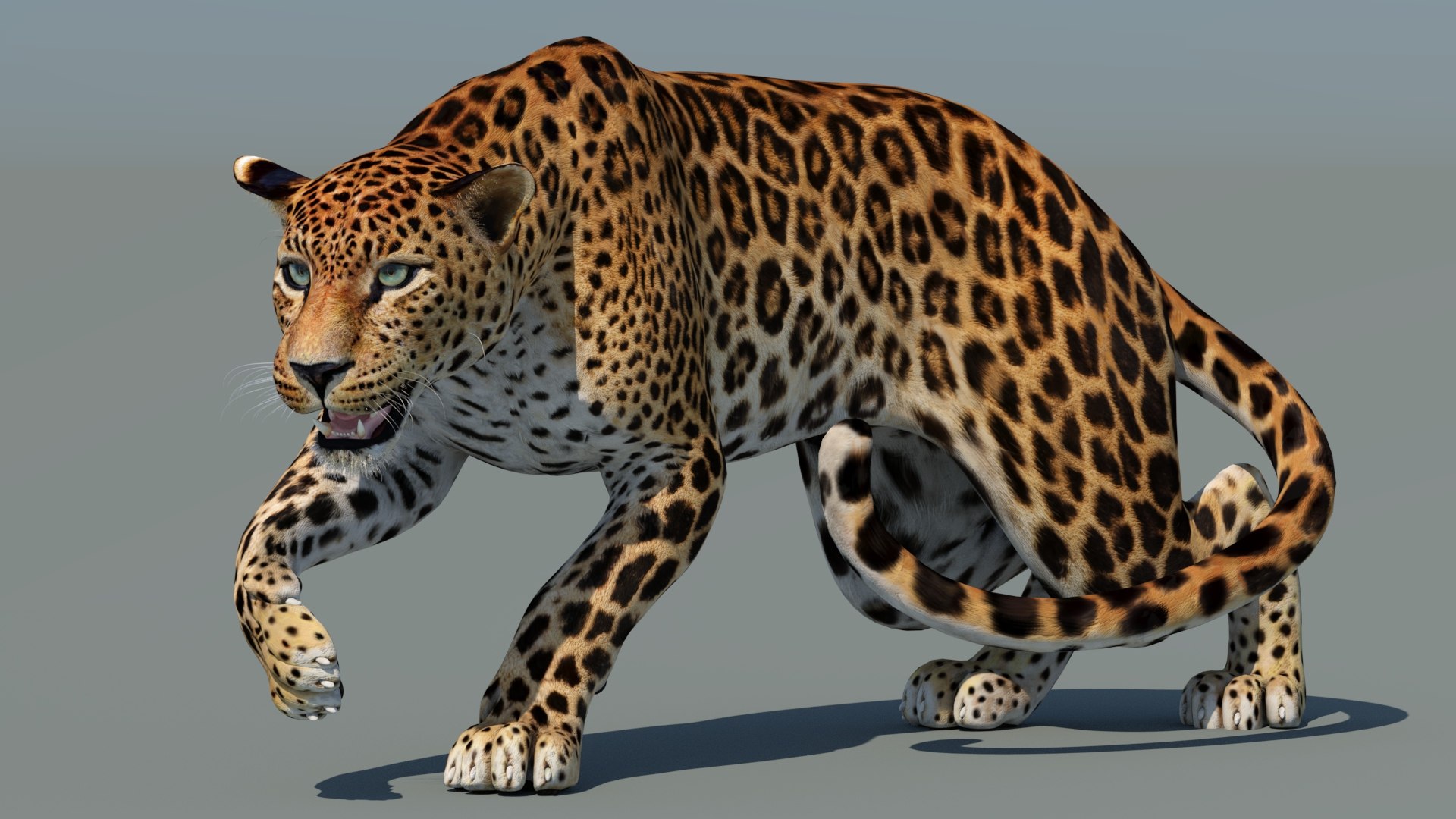 3D Animated Sri Lankan Leopard 3D Model - TurboSquid 2098186