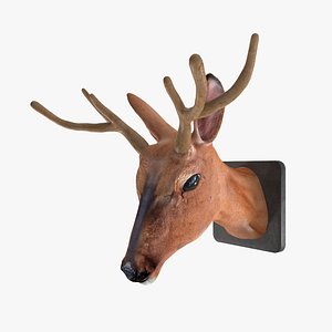 3D model deer stuffed head