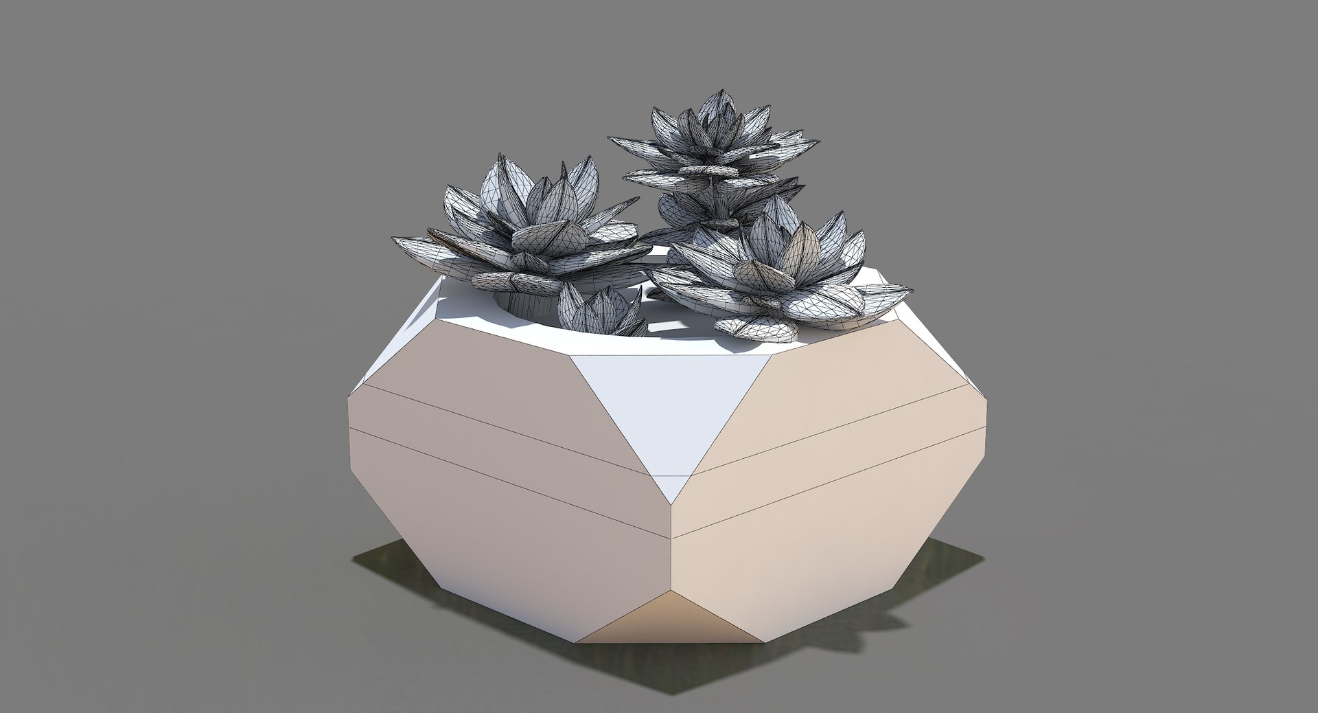 3d model of decorate plant 1 https://p.turbosquid.com/ts-thumb/QF/ZhuSPx/0BUi8J9G/06final/jpg/1471929005/1920x1080/fit_q87/36cedf9cec47ded4b9b6f77d54c58b8b8becd233/06final.jpg