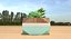 Decorate Plant 1