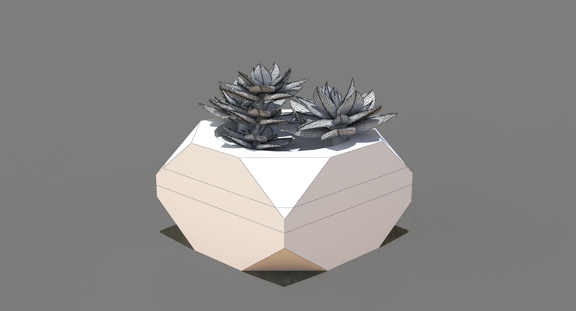 3d model of decorate plant 1 https://p.turbosquid.com/ts-thumb/QF/ZhuSPx/Lx1zYnuv/07final/jpg/1471929005/1920x1080/fit_q87/2fdc4a502bff5941d59bb6f0b76779dbcc9c8b89/07final.jpg